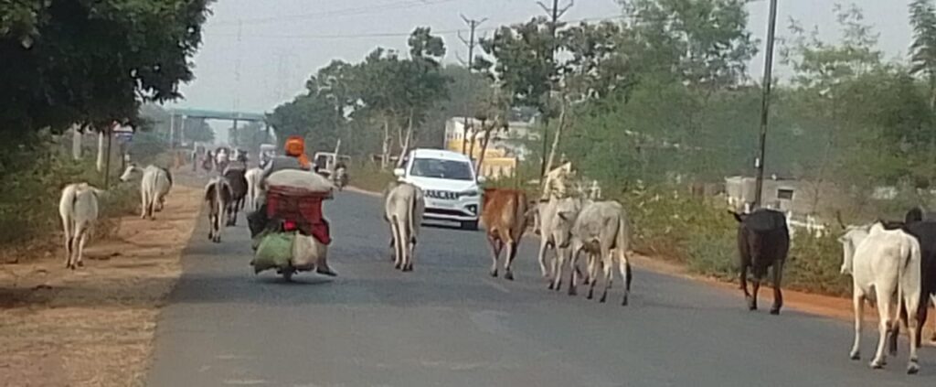 Sahara Samachaar; Katni; 