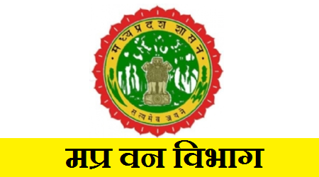 वन विभाग में चल रहा जंगलराज – हरियाली बढ़ाने के बजाय 10 हजार पौधों को फेंका.