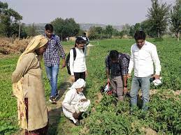 रबी फसल की तैयारी पर प्राकृतिक कृषि प्रशिक्षण सम्पन्न.