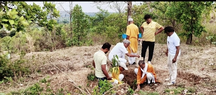 Gayatri family planted mango saplings in Barsali