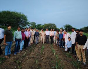 Environment protection along with shelter for destitute cattle is the specialty of this Gaushala