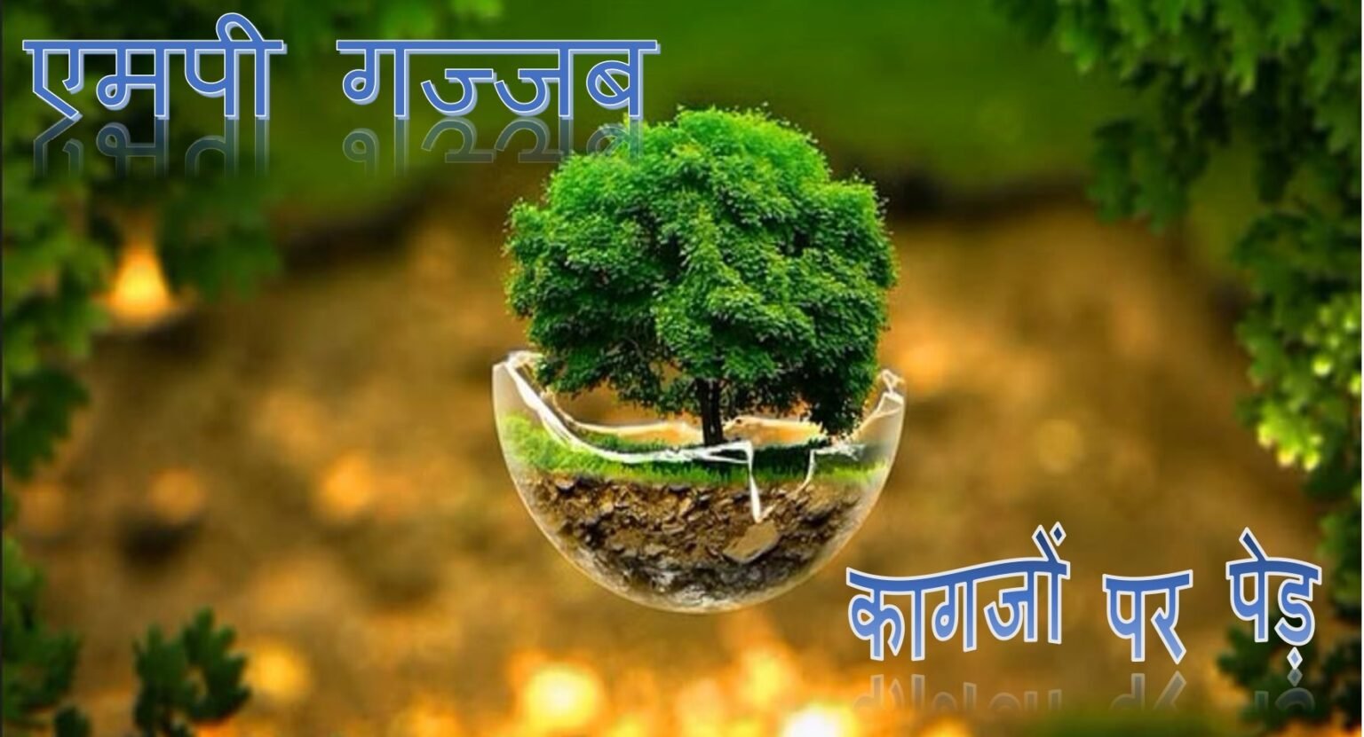 MP is amazing…here trees are cut on the ground and planted on papers.