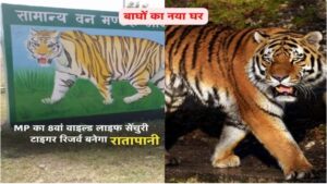 State gets new tiger reserve, approval to make Ratapani 8th Wildlife Century Tiger