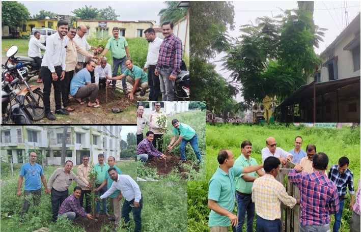 Greenery and departure campaign:- Greenery along the city roads, Natural Trade Association launched tree plantation campaign