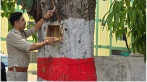 Forest Department will arrange 'Gharaunda' in every house in Jabalpur to protect the birds from the weather.