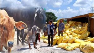 Animal Husbandry Minister Lakhan Patel gave instructions for strict action