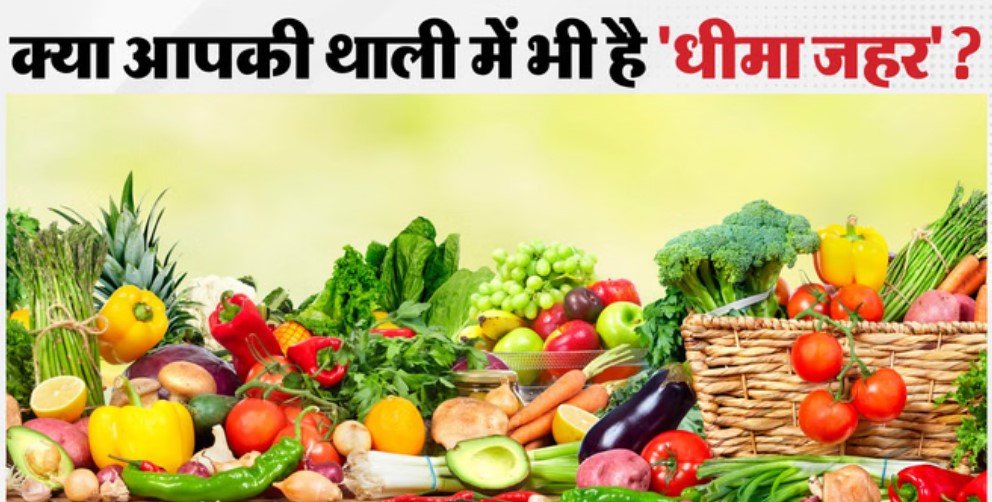 पानी के बाद अब सब्जियों में भी जहर! प्रदूषण बोर्ड का खुलासा; हाईकोर्ट ने सरकार से मांगी रिपोर्ट